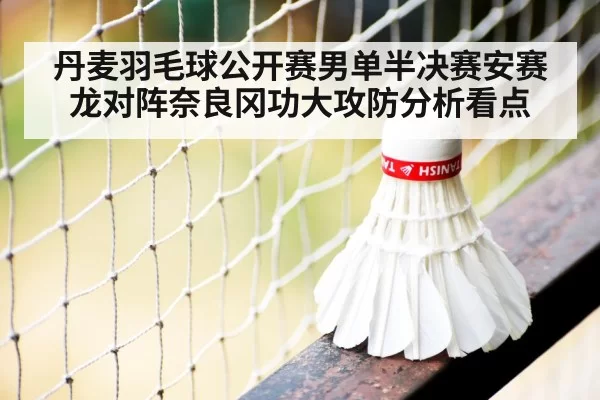 badminton shuttlecock net